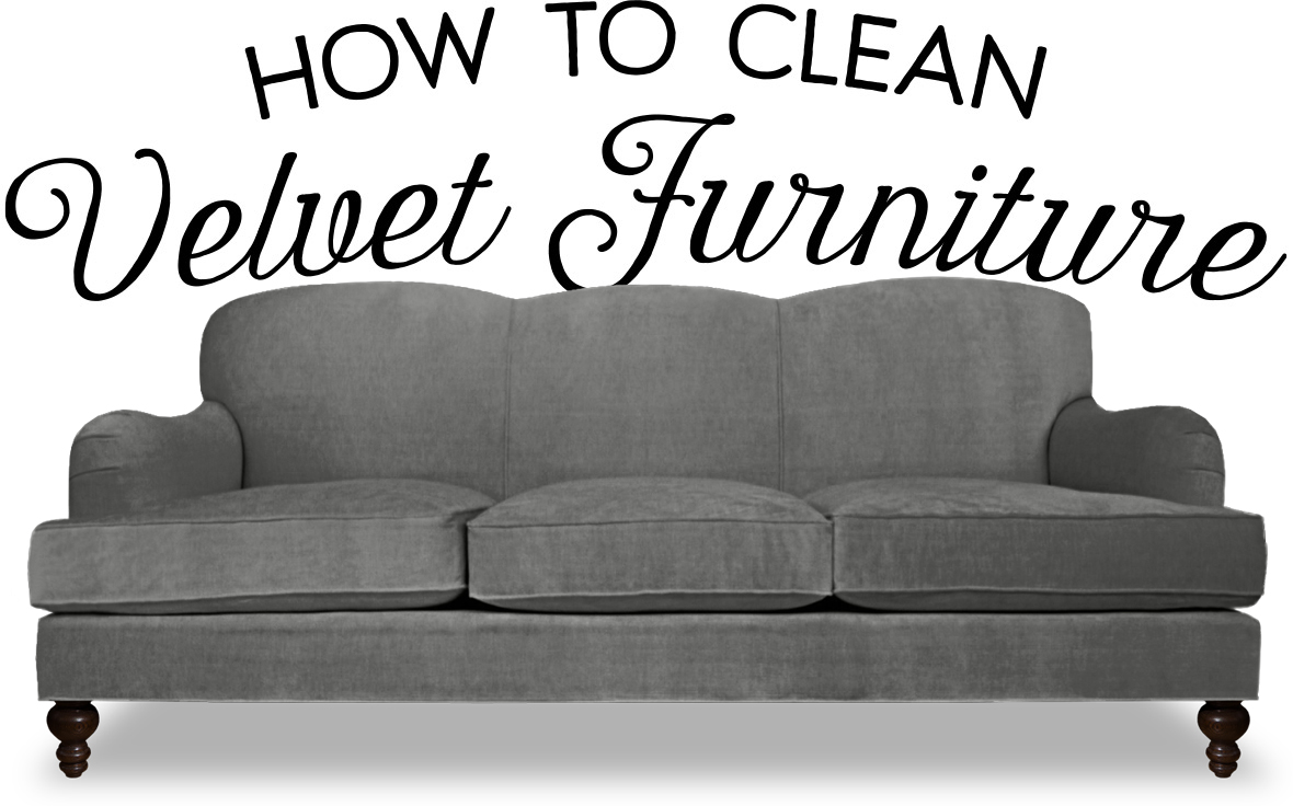 How to Clean Velvet Furniture | Blog | ROGER + CHRIS