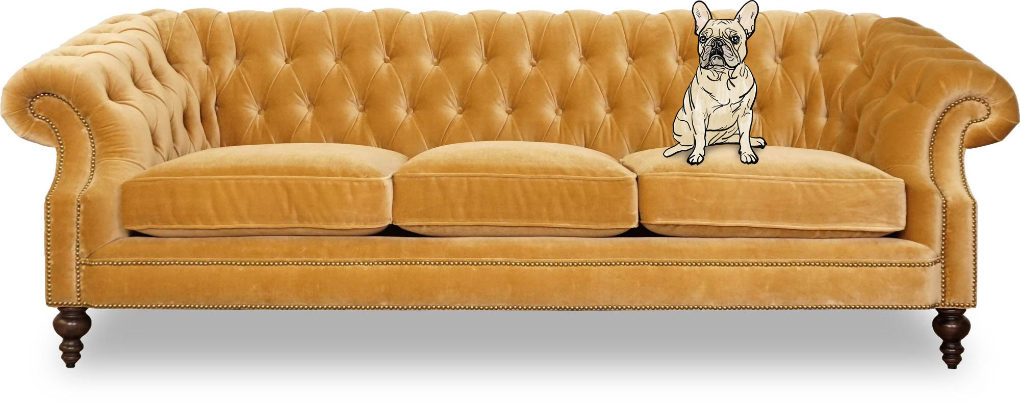 96 Cecil French Chesterfield in Como Antique Gold velvet